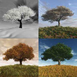 Respiration carree captez souffle 4 saisons l 1