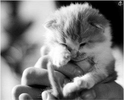 Vas toucher vie quelquun aujourdhui l efvsso