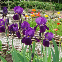 Ateliers residentiel