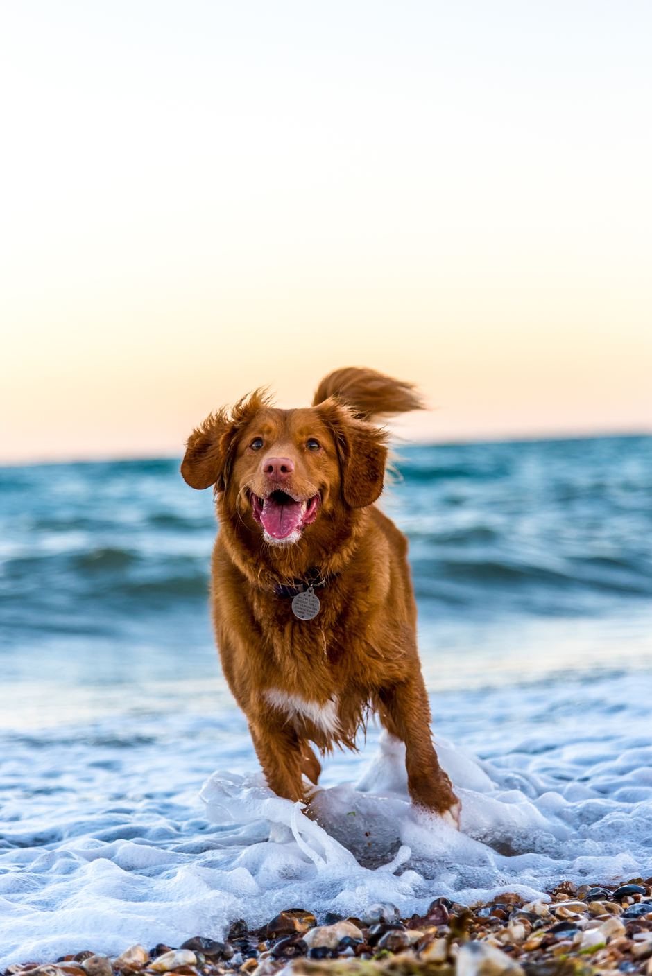 Oscar sutton 719939 unsplash