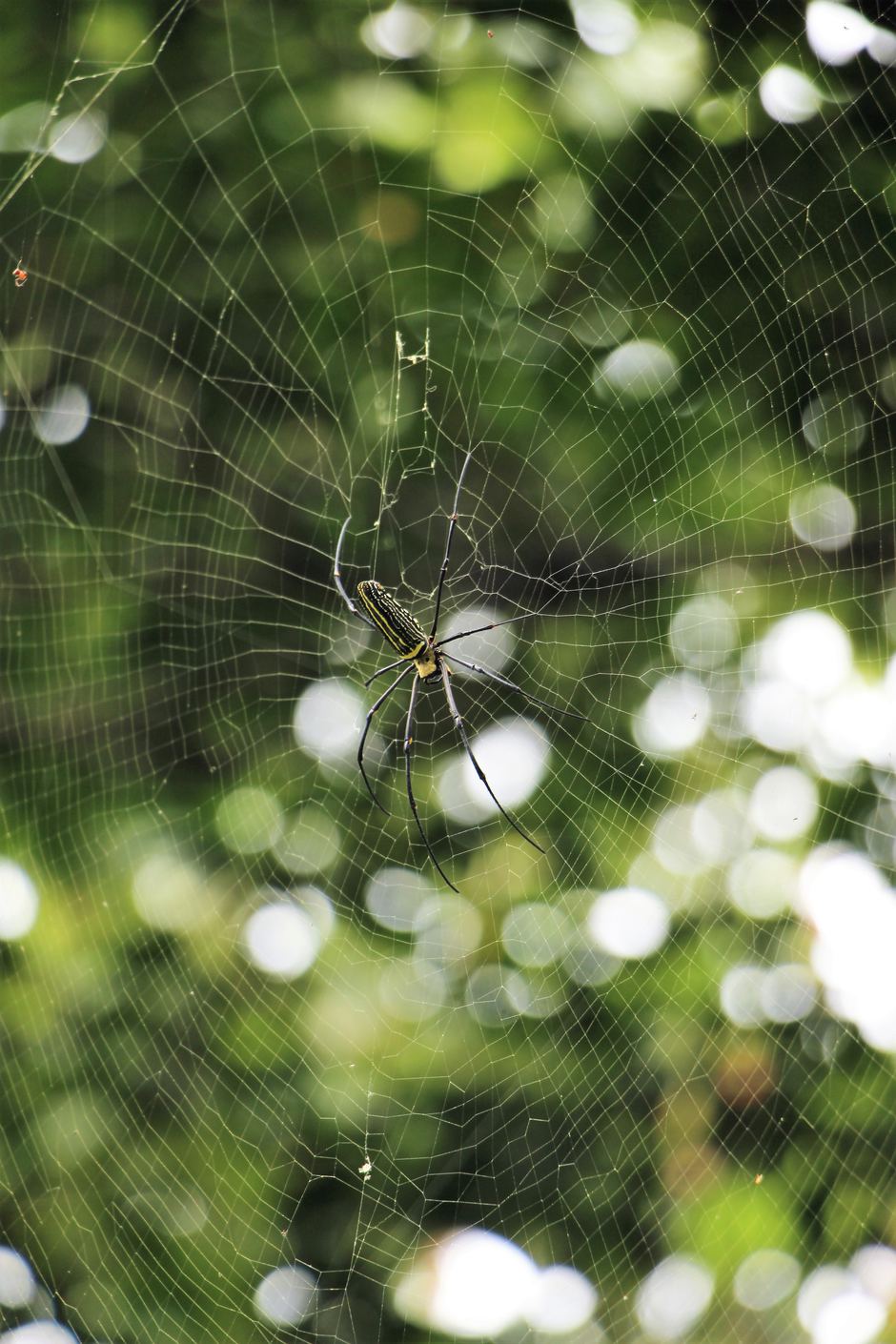 Shivendu shukla 339451 unsplash 1