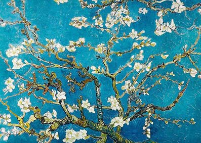 Vangogh
