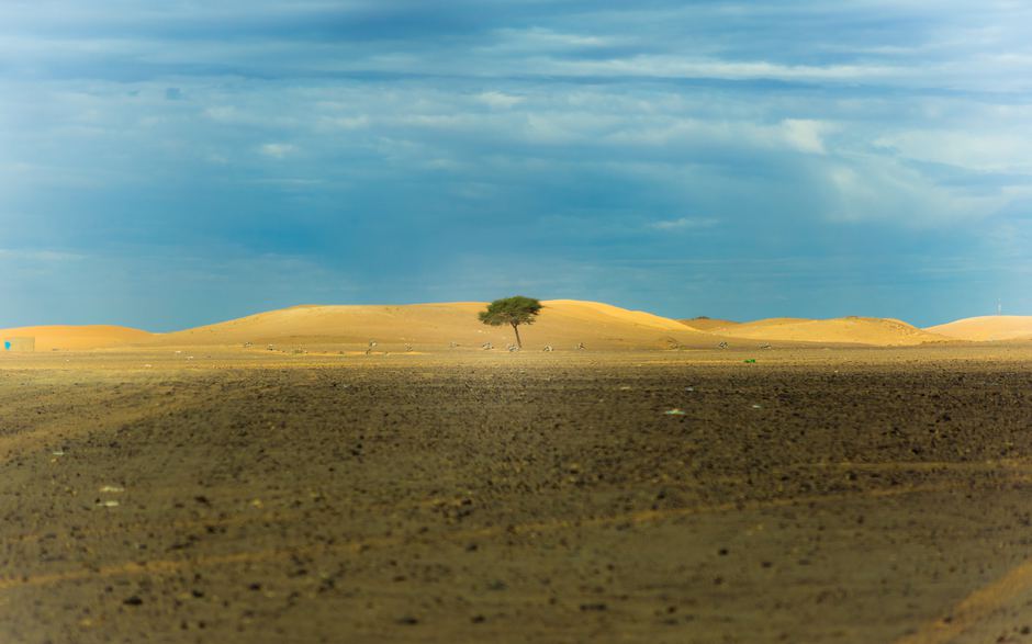 Karim manjra ulquhf89xuy unsplash 20 1 