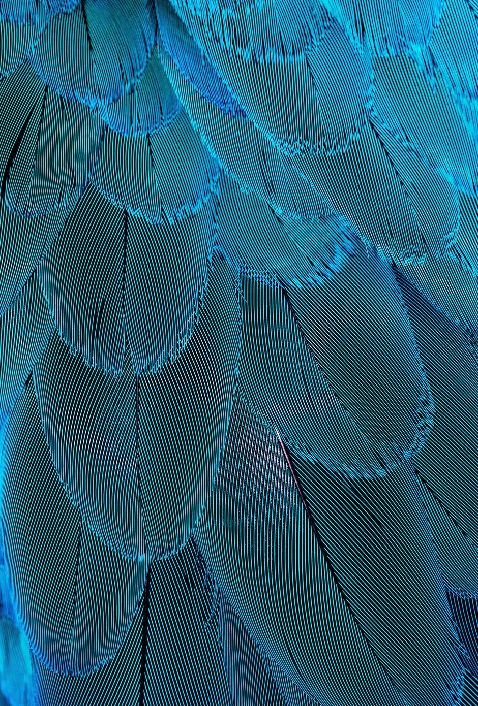 David clode xnvpuhanjkm unsplash