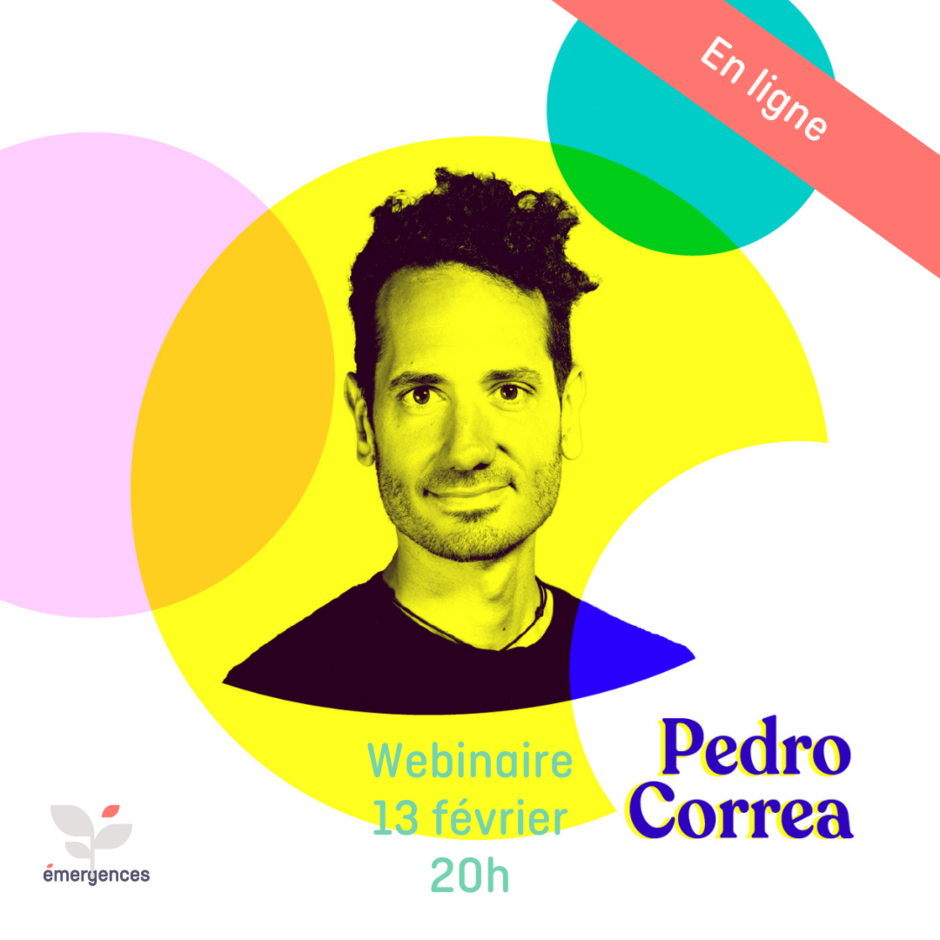 Webinairepedrofb