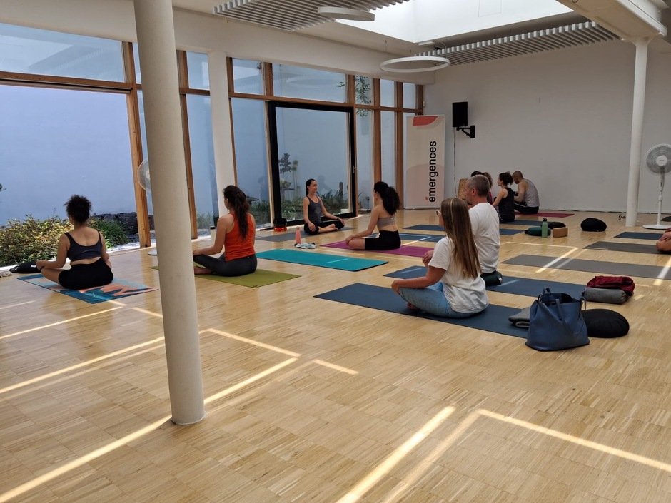 Stan yogaday jardins assise