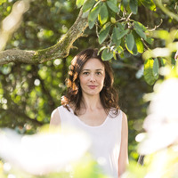 Verybig candice tree 2