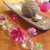 Small image