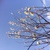 Small c34ff6db 09b0 479e b772 dab3281369a2